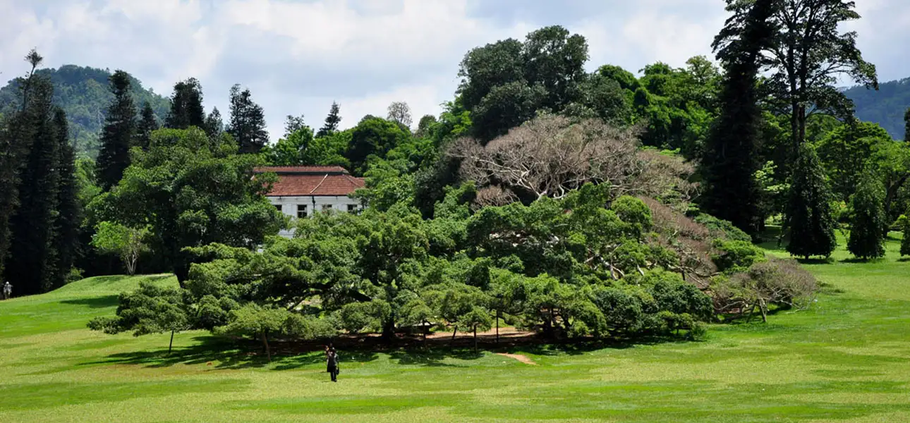 1-Peradeniya-G-2-ezgif.com-optiwebp