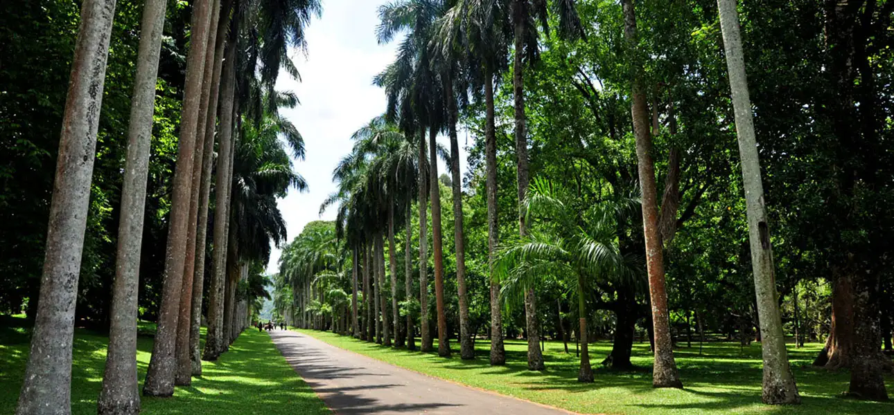 1-Peradeniya-G-3-ezgif.com-optiwebp