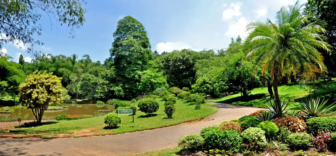 1-Peradeniya-G-5-ezgif.com-optiwebp