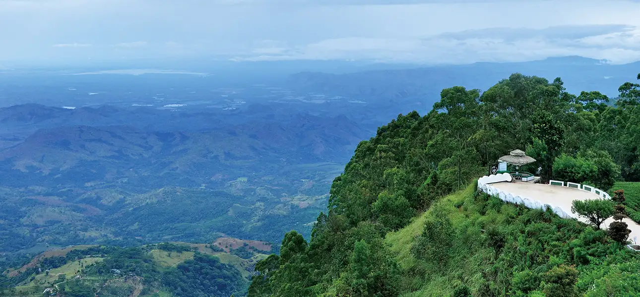 37-LiptonSeat-G-2-ezgif.com-optiwebp