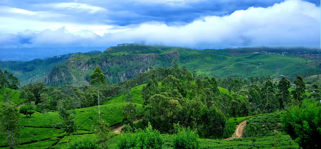 37-LiptonSeat-G-3-ezgif.com-optiwebp