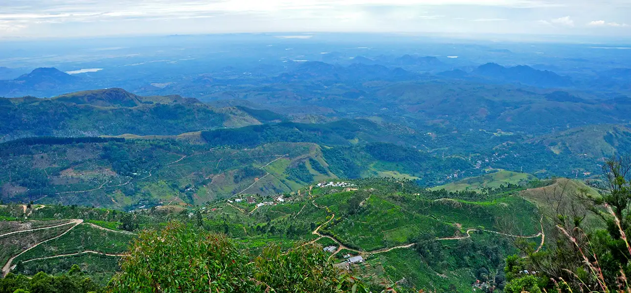 37-LiptonSeat-G-4-ezgif.com-optiwebp